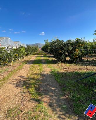 Terreno agricolo - Fondi