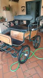  carrozza pony