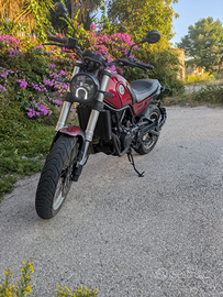 Benelli leoncino 500 Trail