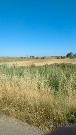 Terreno agricolo a Cabras