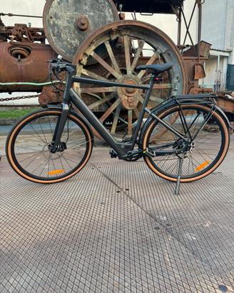 Bici elettrica