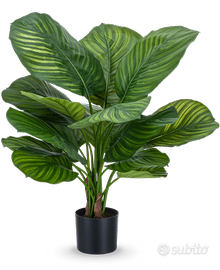 Pianta artificiale Calathea Fasciata 53 cm