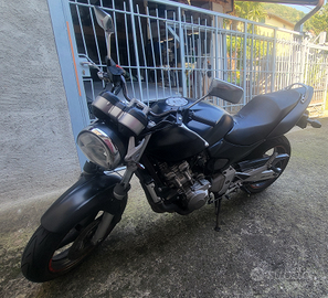 Honda hornet 600