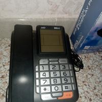 telefono fisso 