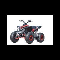 Quad atv renegade 125 xxl ruote 8