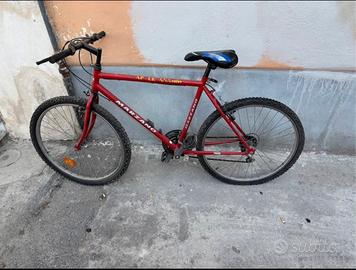 Bicicletta Mountain Bike