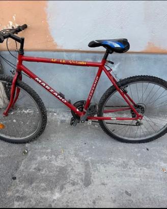 Bicicletta Mountain Bike