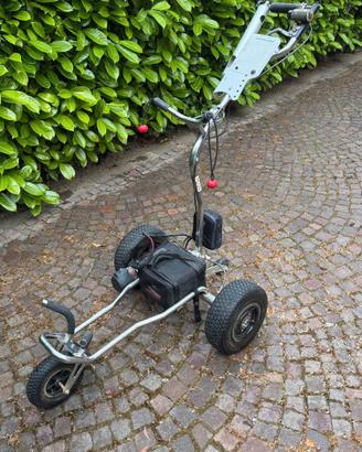 Carrello elettrico Golf