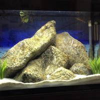 Acquario ASKOL pure Led  XL  HC