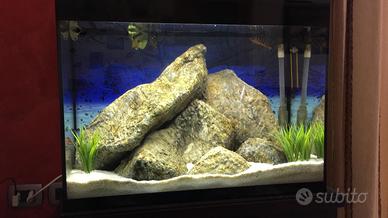 Acquario ASKOL pure Led  XL  HC