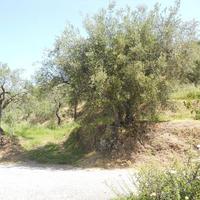 RGE 106/2015 Trib Patti - LOTTO 2