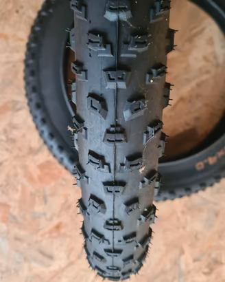 DUE PNEUMATICI  BFT 