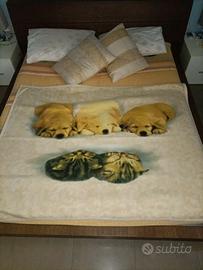 Coperta di pile con puppies