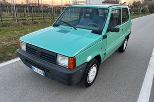 Fiat Panda 1100 i.e. cat Young