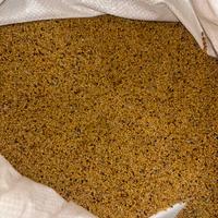 Seme trifoglio alessandrin