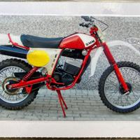 Swm rs 250