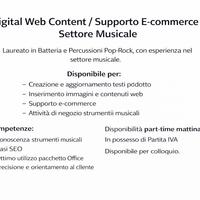 Digital Web Content (Disponibile da remoto)