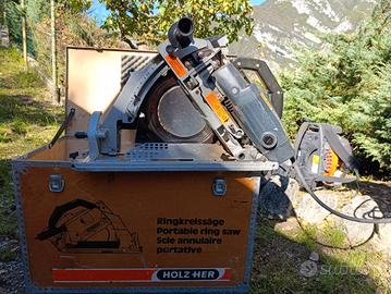 Sega circolare legno