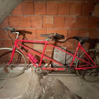 Tandem bici da corsa rosa fucsia