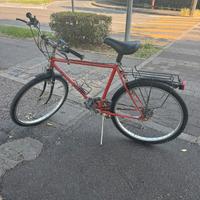 Bicicletta bianchi