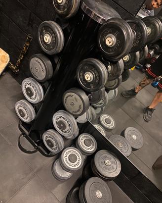 Pesi palestra