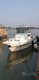 Barca Polyform Triakis C 24 Barracuda