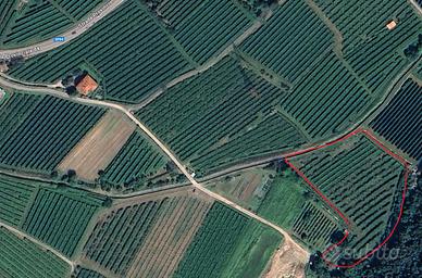 Terreno Agricolo 7240mq