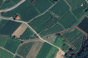 Terreno Agricolo 7240mq