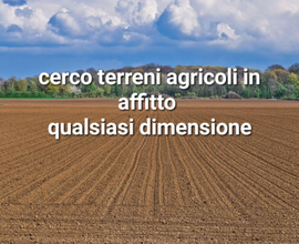 Terreni agricoli