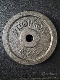 Dischi palestra kg 5