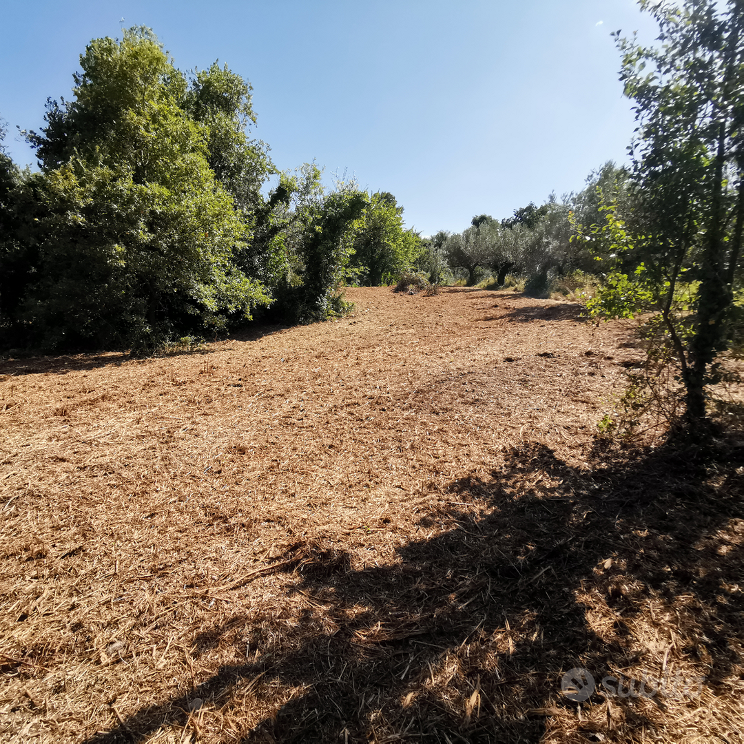 Terreno zona stadio - Altro