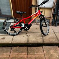 Mtb Lombardo misura 20