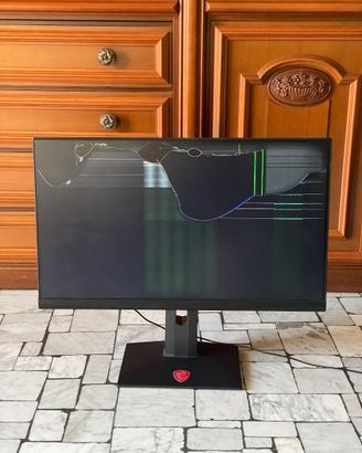 Monitor MSI Optix MAG251RX “SCHERMO ROTTO”