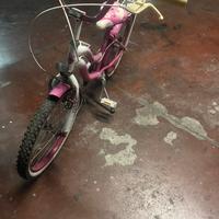 Bici 24