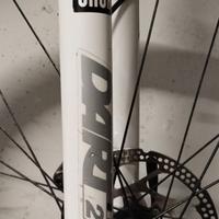 Mountain bike Bianchi uomo