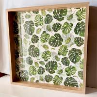 Quadro con piante 50x50 - cornice profonda