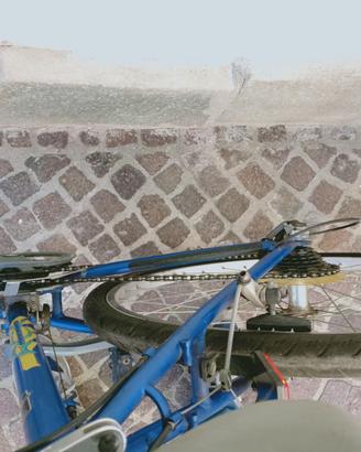 MTB Bianchi