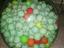 Immagine 6