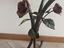 Immagine 2