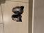 Immagine 6