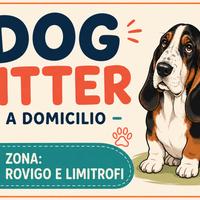 DOG SITTER A DOMICILIO
