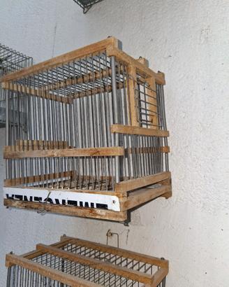 Gabbiette trasportino