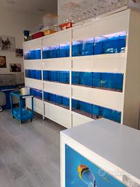 batteria acquari  