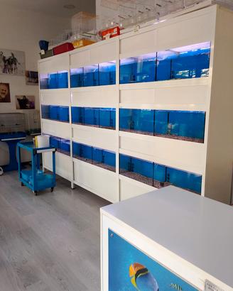 batteria acquari  