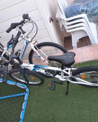 bicicletta 