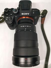 sony a7 III  + sony 2470 f2.8 GM