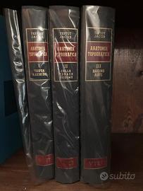 Trattato Anatomia Umana Topografica Testut Jacob