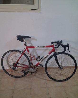 Bici da corsa