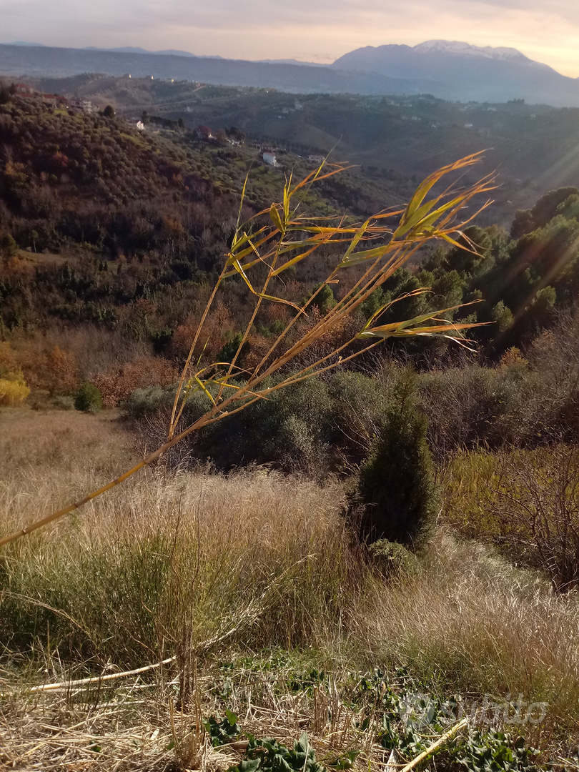 Terreno agricolo - Vista 3
