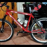 MTB Scout carbon 